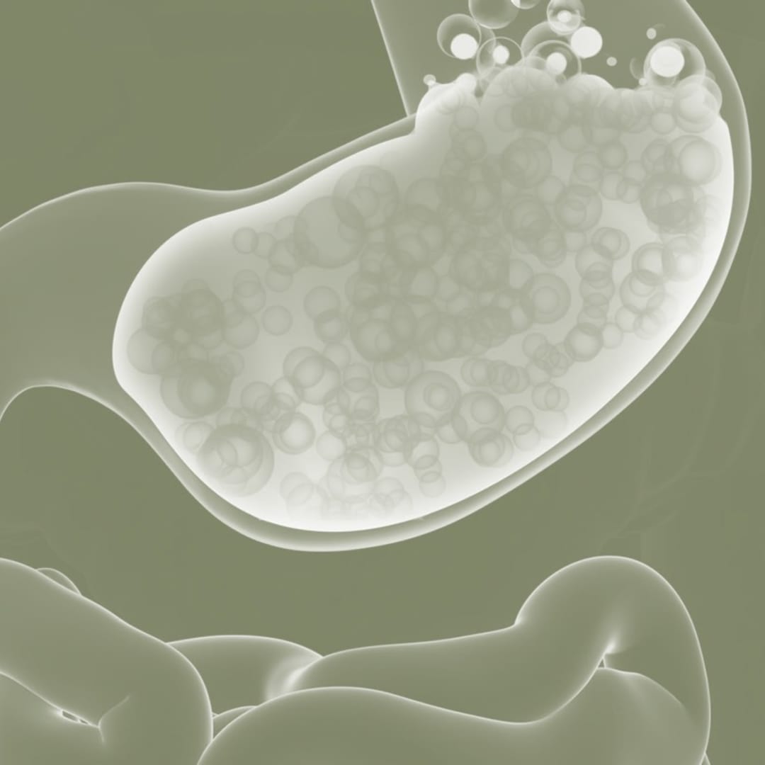 The Gut-Skin Axis